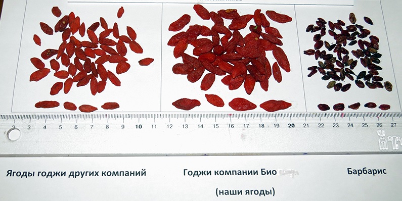 Ягоды Годжи